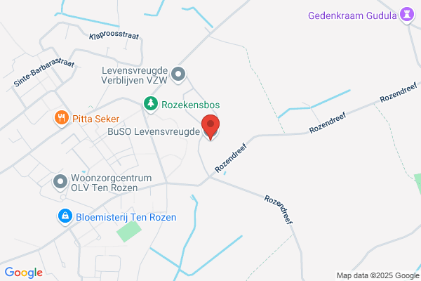 Buso Levensvreugde