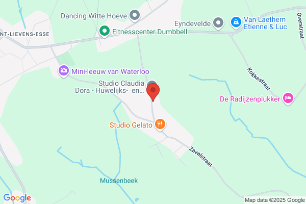 Van Boxstael Jonny Bvba