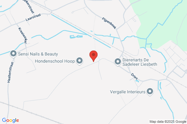 De Burchgraeve/Patrick