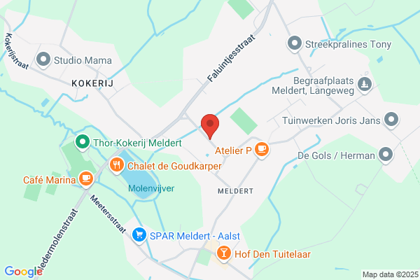 Norine