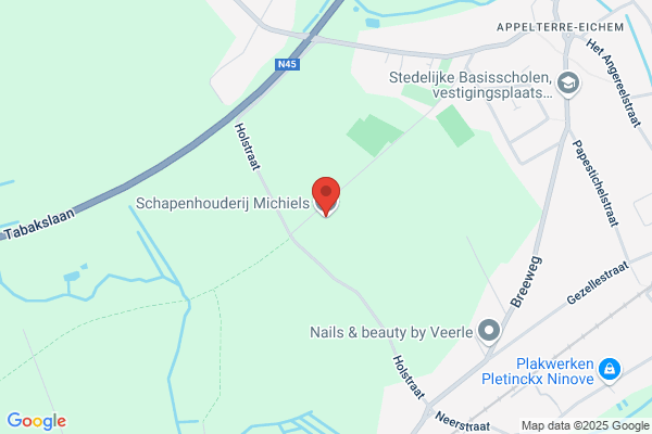 Michiels P