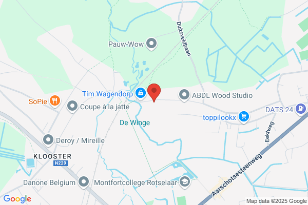 Lieven Maes