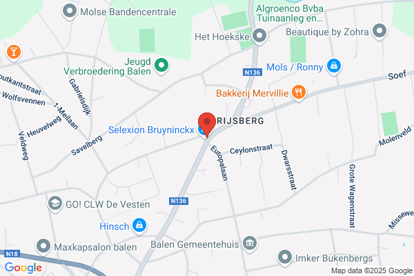 Bruyninckx L