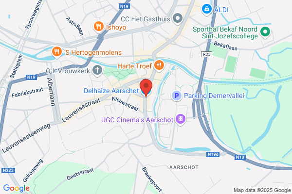 Delhaize Groep Nv