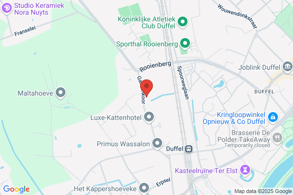 Dirk Goris Management En Boekingen
