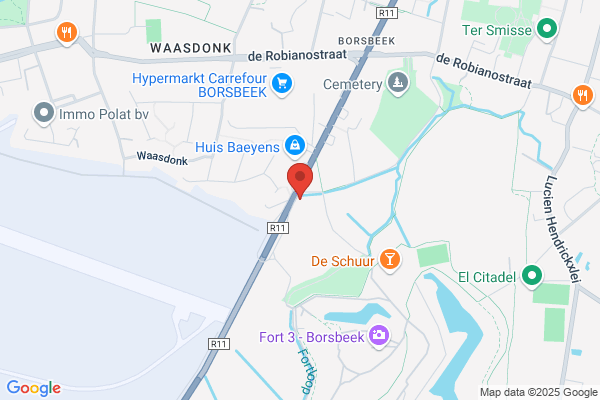 Duivenbond De Beginneling