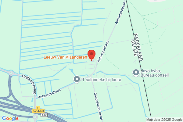 Leeuw Van Vlaanderen (De)