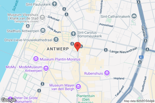 Antwerp International Cat Club-Cat News