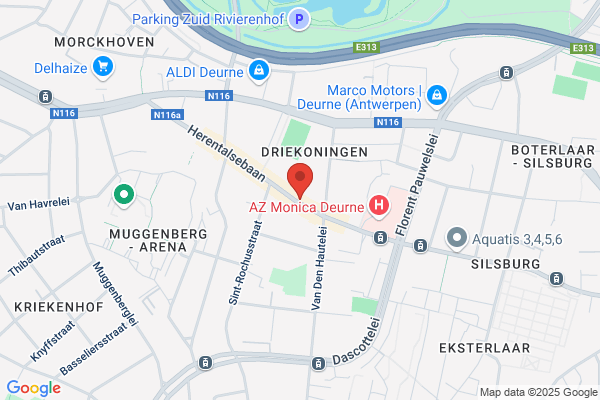 Drie Koningen Shoe