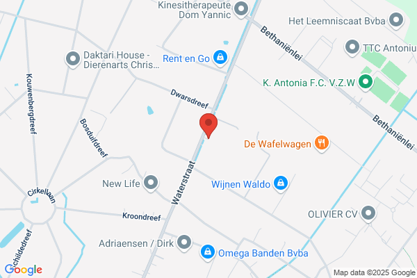 Cuisinier D'anvers (Le)
