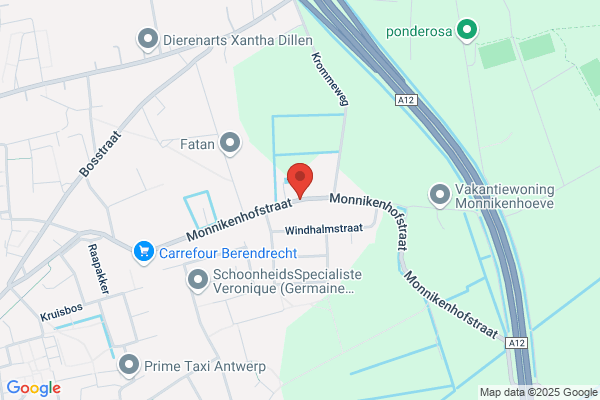 Stiefenhofer En Pauwels