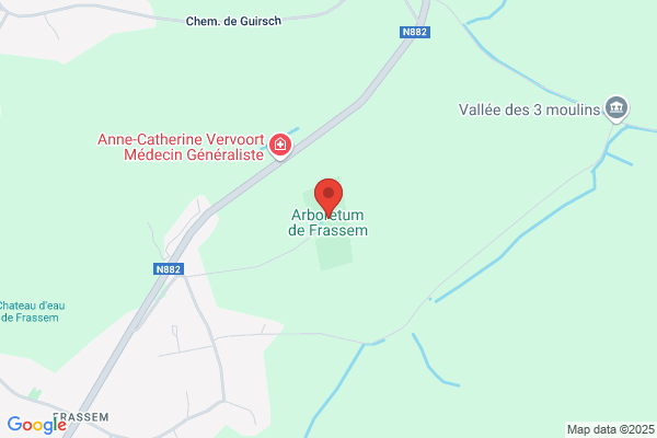 Marmousets (Les)