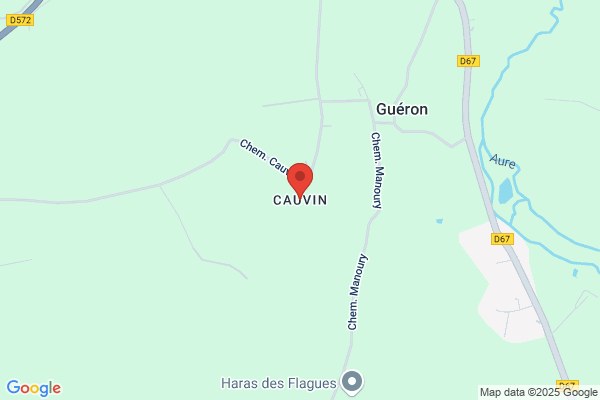 Cauvin G
