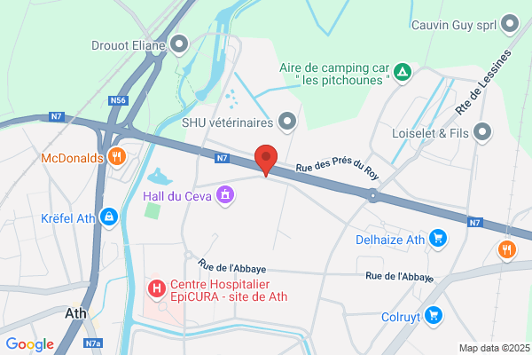 Primevères (Des)