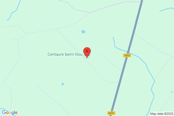 Centaure (Le)