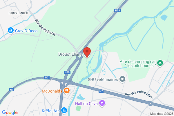 Drouot Eliane