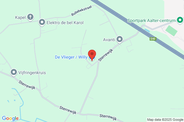 De Vlieger/W.