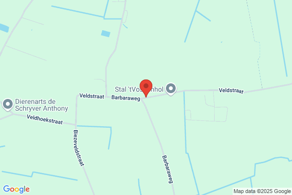 Van Paemele Gebroeders Cv