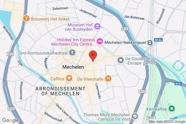 De Meerleire