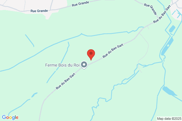 A fleur de l'eau