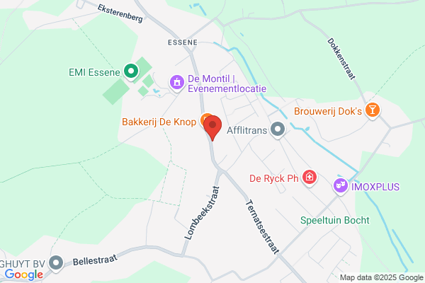 Fieremans Jan