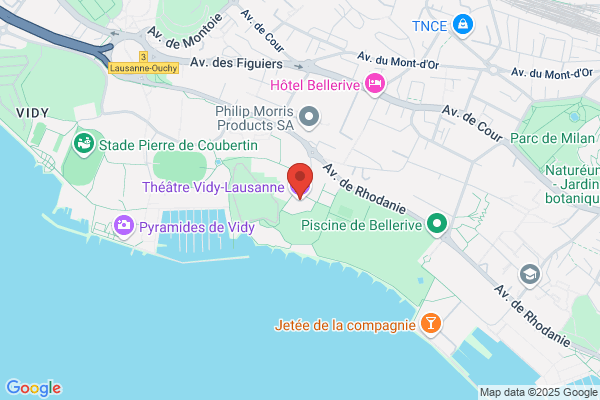 Vidy/Luc
