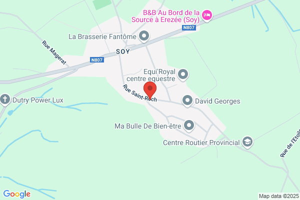 Guêpes Courtois Joffrey