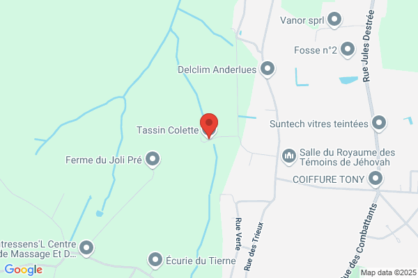 Tassin F