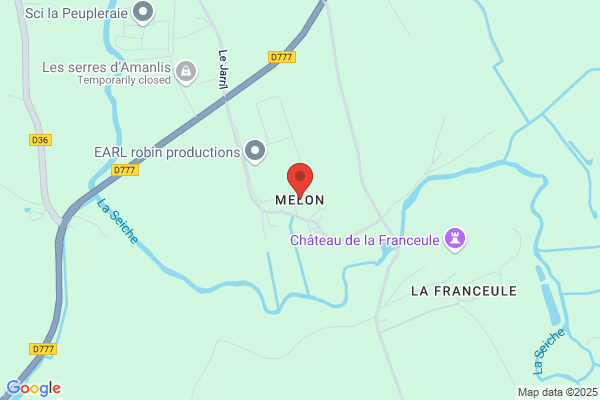 Melon/Michel