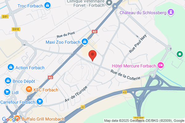 Godfroid Y