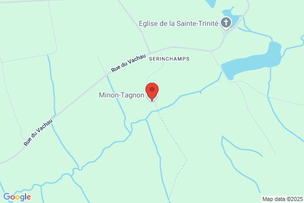 Minon F