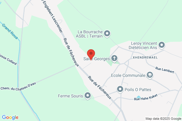 Borret Camille Sprl