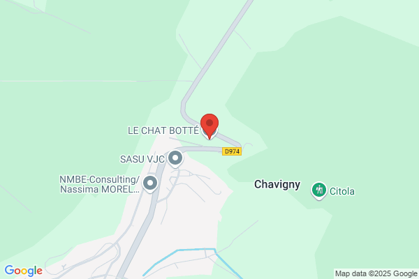 Chat Botté (Le)