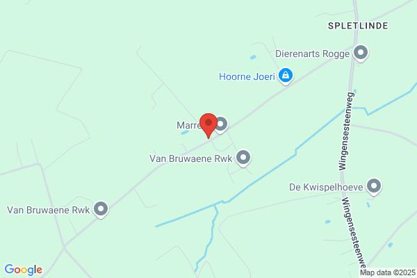 Bouckaert Ballooning