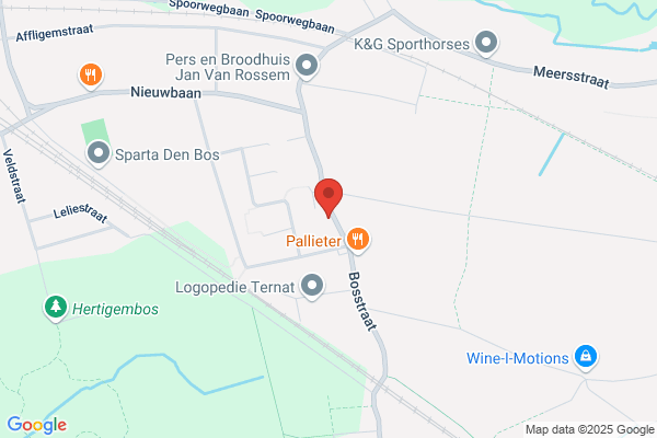 VDV_N Dakwerken