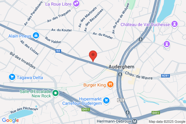La Cheminée sa Delplan