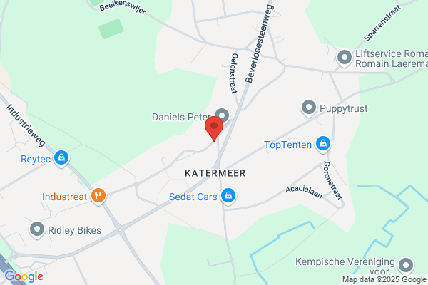 Raemaekers B