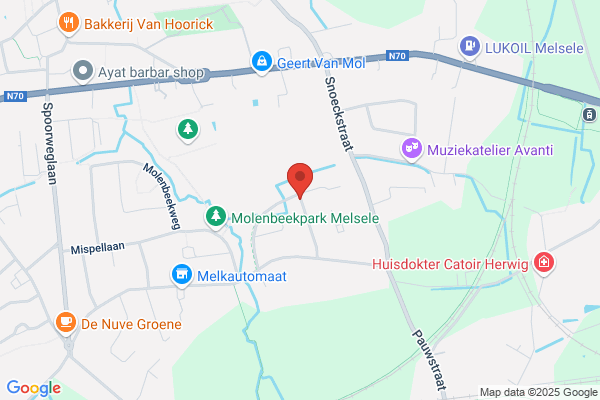 Van De Merlen P