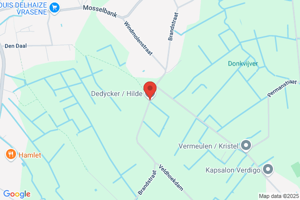 't Madeliefje