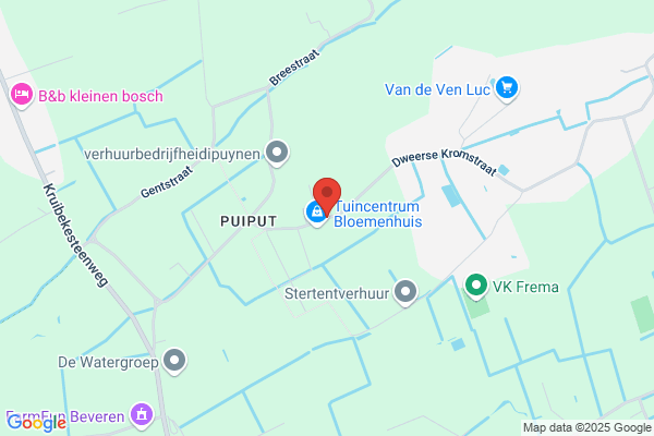 Puynen