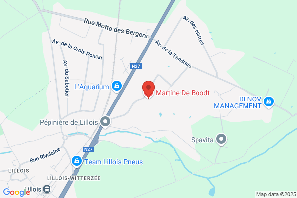 Boedts J-P