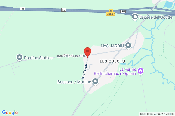 Cuvellier/Francois