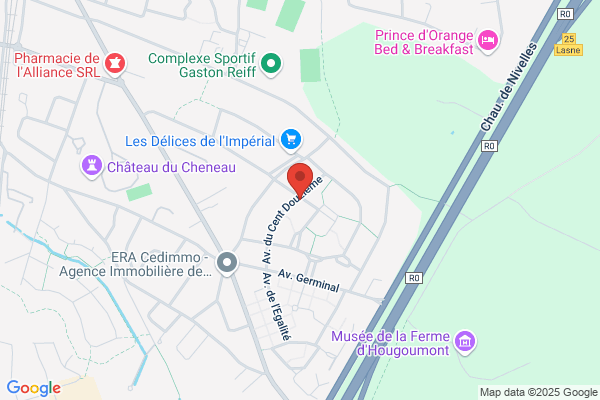 Taxis Du Lion (Les)