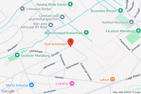 Oud Antwerpen Bvba