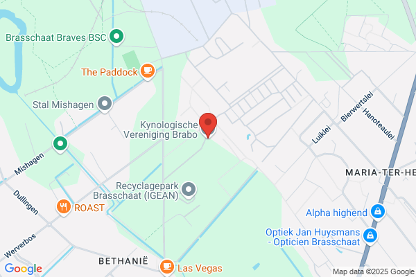 Brabo Kynologische Vereniging Vzw