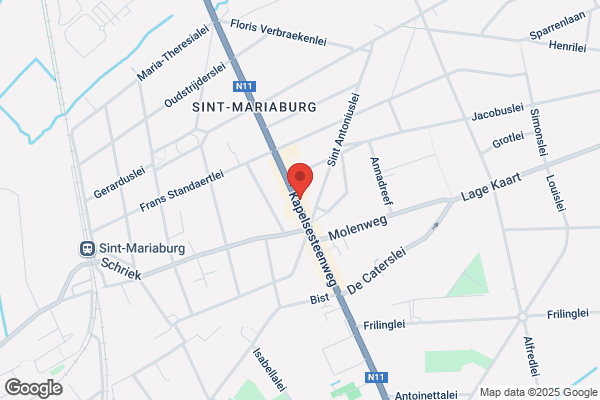 Parligna