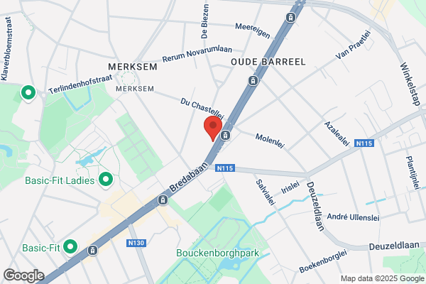 Van Elst-Lismont