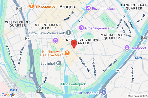 Regionaal Instituut Voor Samenlevingsopbouw W.-Vl.