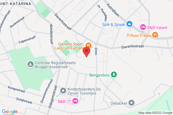 Sparrenwoud ('t)