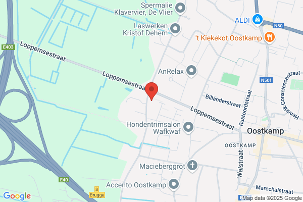 Vertommen W